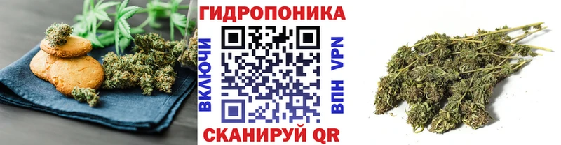 Cannafood конопля  продажа наркотиков  Георгиевск 