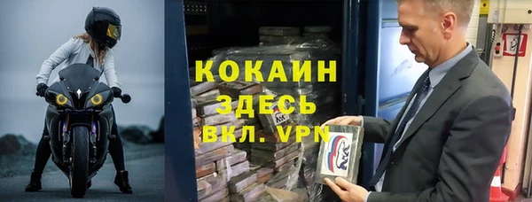 ешки Алексин