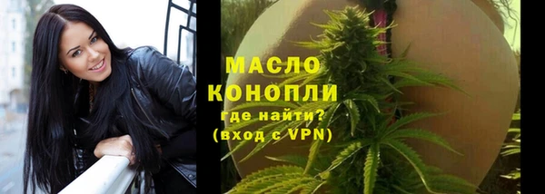 мяу мяу мука Аркадак