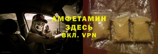 индика Переславль-Залесский