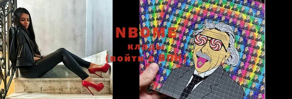 индика Переславль-Залесский