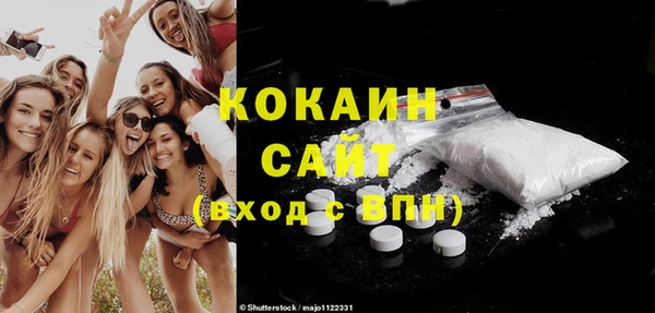 ешки Алексин