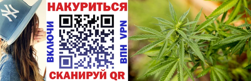 Конопля Ganja наркотики Георгиевск